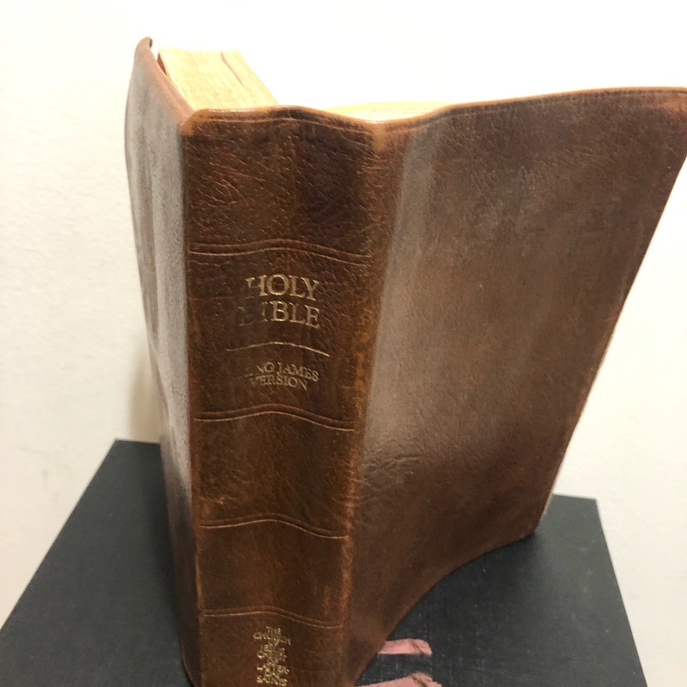 Holy Bible, Nelson KJV Words of Christ in Red Brown Leather Riverside